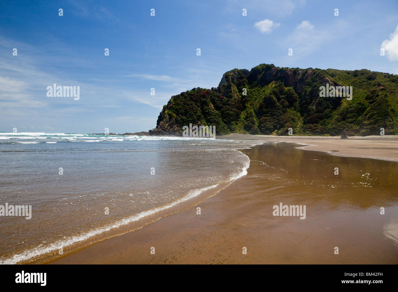 Blick entlang KareKare Beach. Karekare, Waitakere Ranges Regional Park, Auckland, Nordinsel, Neuseeland Stockfoto