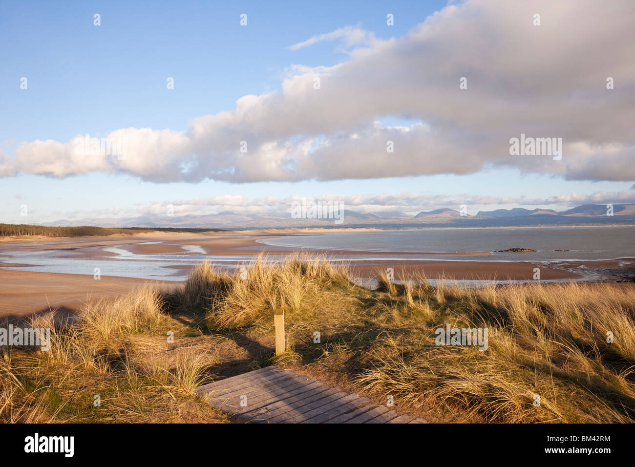 Fußpfad Promenade auf Marram Gras Sanddünen auf Llanddwyn Island National Nature Reserve. Newborough, Anglesey, North Wales, Großbritannien Stockfoto