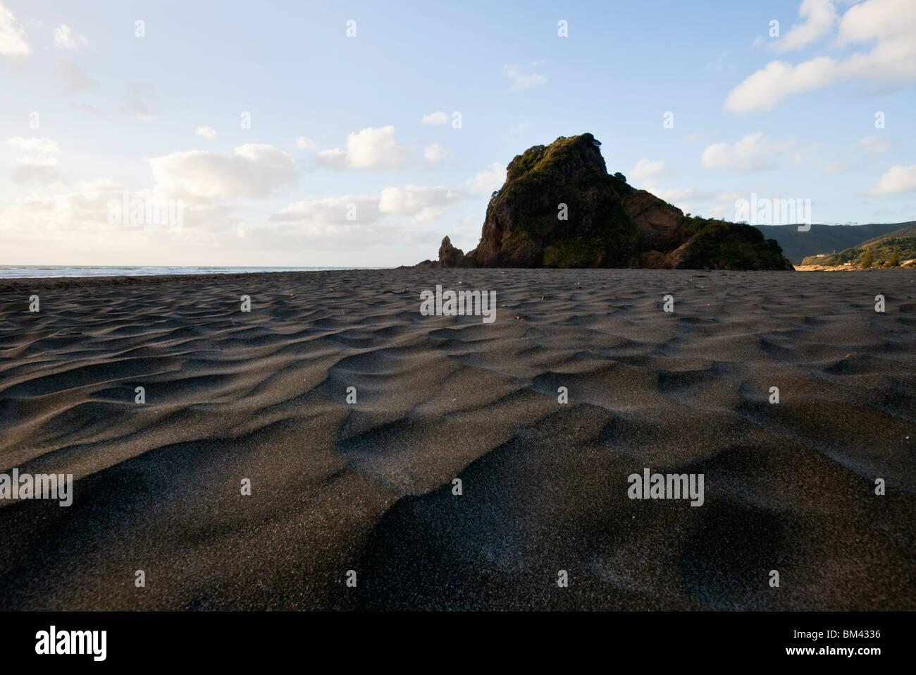 Piha Strand entlang zum Lion Rock anzeigen  Piha, Waitakere Ranges Regional Park, Auckland, Nordinsel, Neuseeland Stockfoto