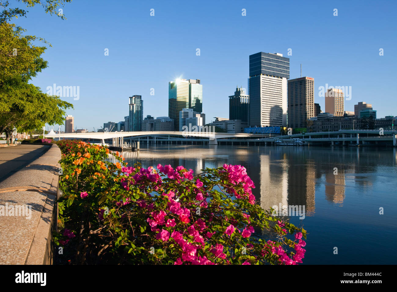 Blick auf die Skyline der Stadt von South Bank Parklands. Brisbane, Queensland, Australien Stockfoto