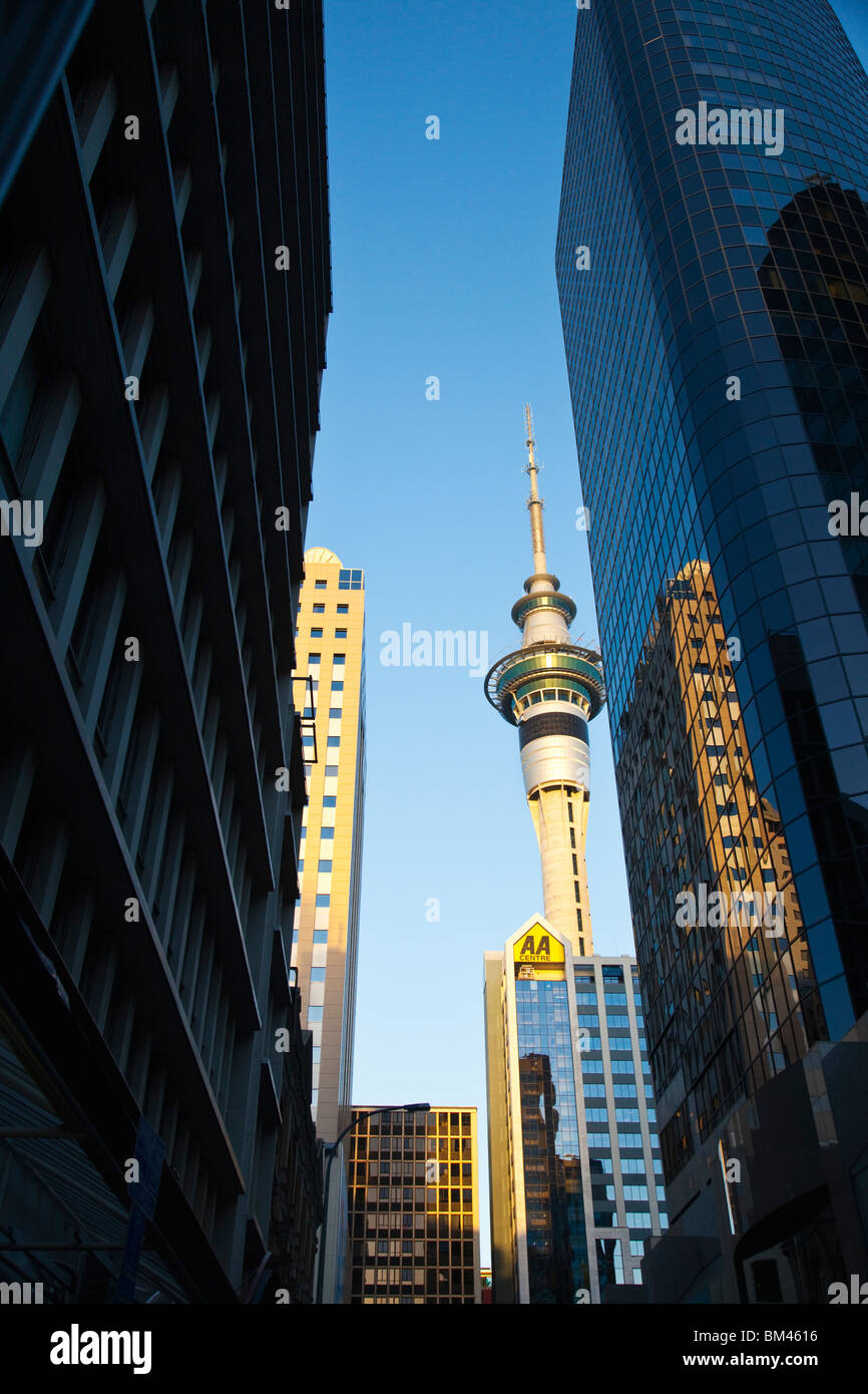 Blick durch Hochhäuser der Stadt auf dem Sky Tower. Auckland, Nordinsel, Neuseeland Stockfoto