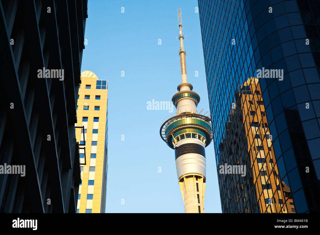 Blick durch Hochhäuser der Stadt auf dem Sky Tower. Auckland, Nordinsel, Neuseeland Stockfoto