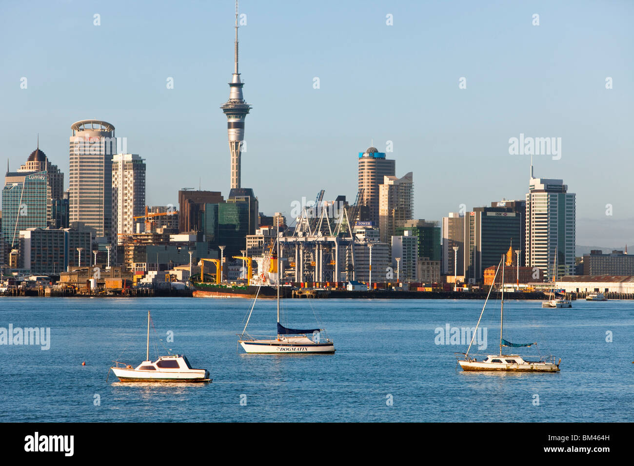 Yachten auf Waitemata Harbour mit der Skyline der Stadt über. Auckland, Nordinsel, Neuseeland Stockfoto