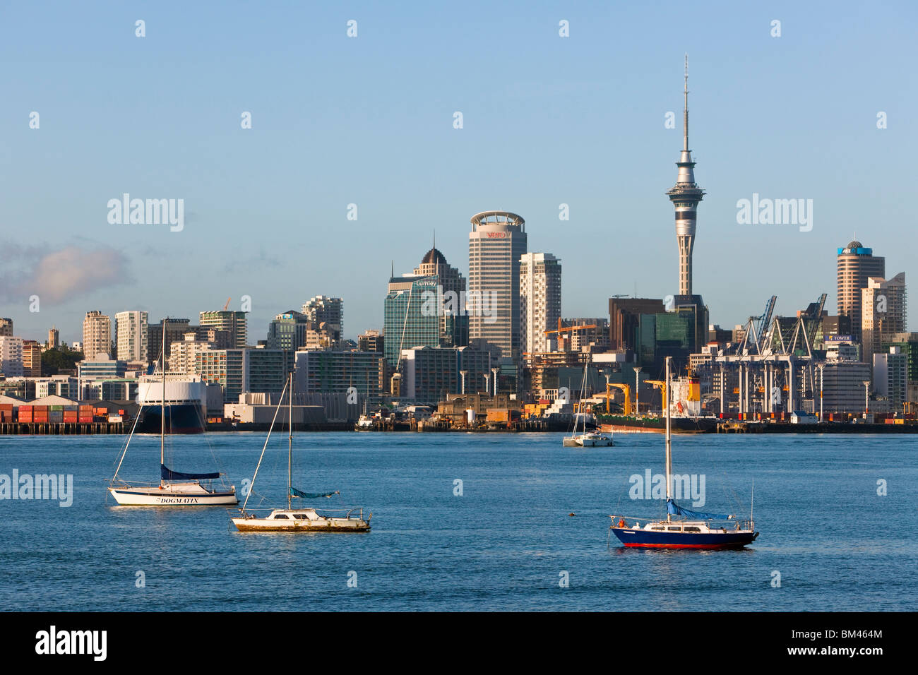 Yachten auf Waitemata Harbour mit der Skyline der Stadt über. Auckland, Nordinsel, Neuseeland Stockfoto