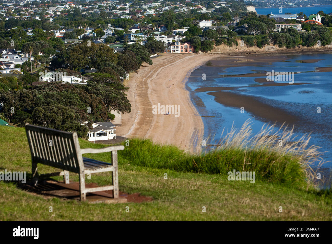 Blick auf Cheltenham Beach in North Head. Devonport, Auckland, Nordinsel, Neuseeland Stockfoto