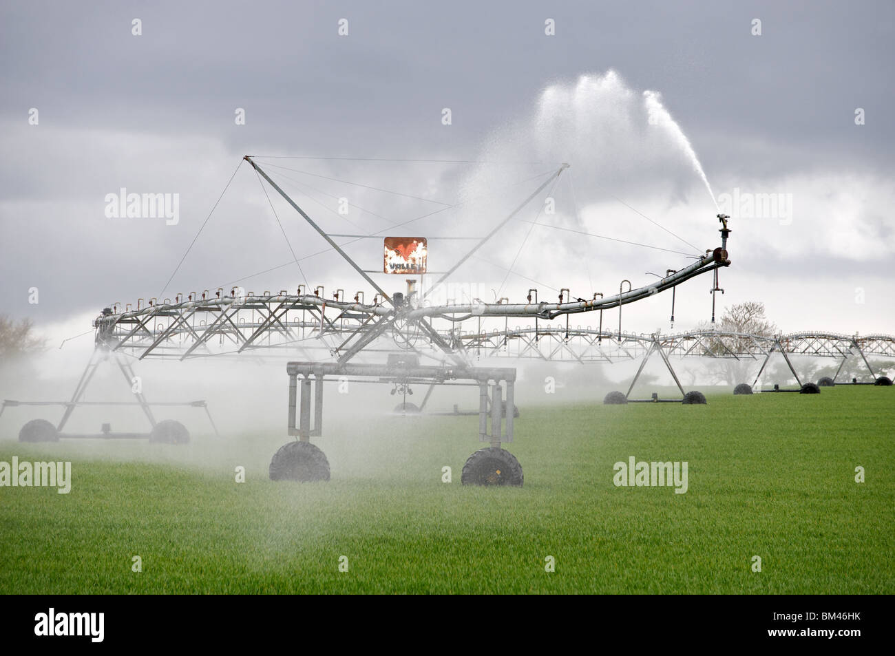Tal Präzision Central Pivot Bewässerungsanlage, Bewässerung Weizen Ernte, Hollesley, Suffolk, UK. Stockfoto