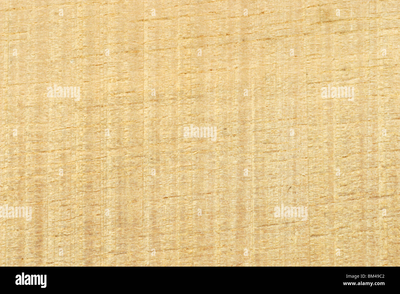 Nahaufnahme von Schnittholz Oberflächenstruktur Hintergrund Stockfoto