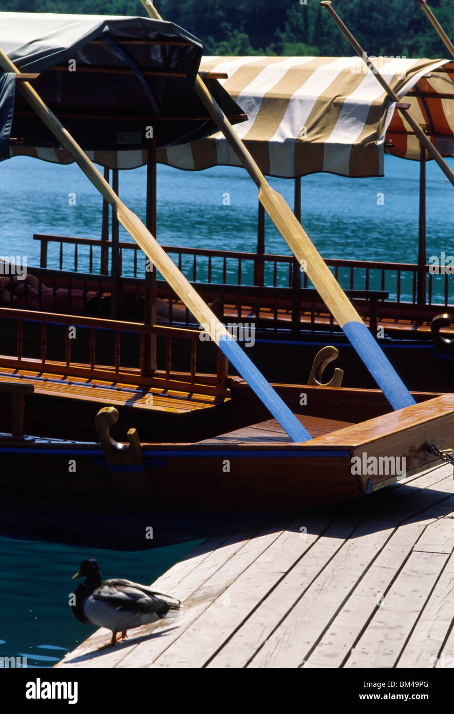 Slowenien, 15. Juni 2009--traditionelle Boote am Bleder See. Stockfoto