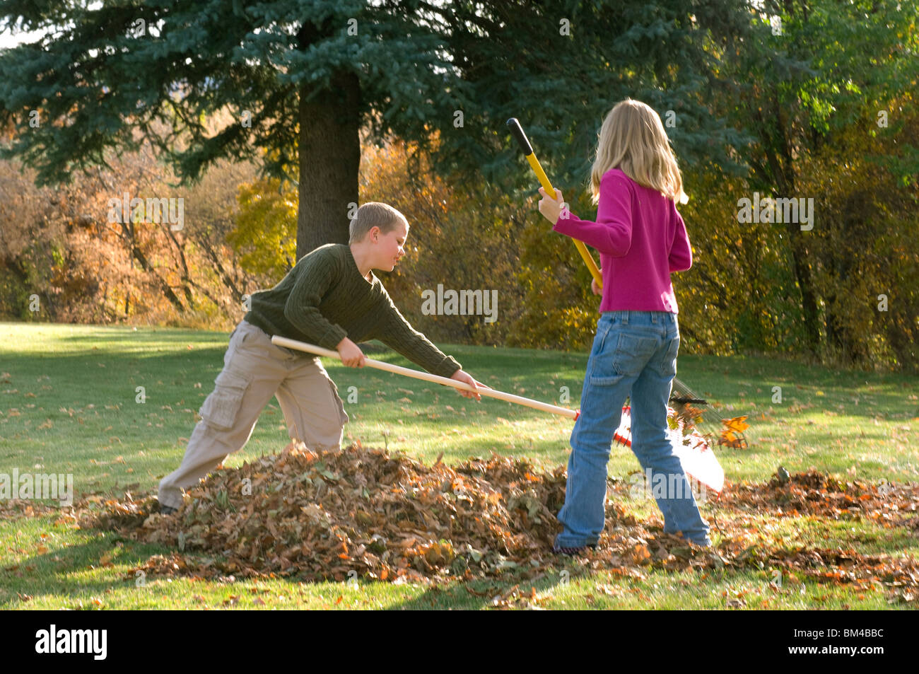 Kinder Herbst Laubrechen Stockfoto