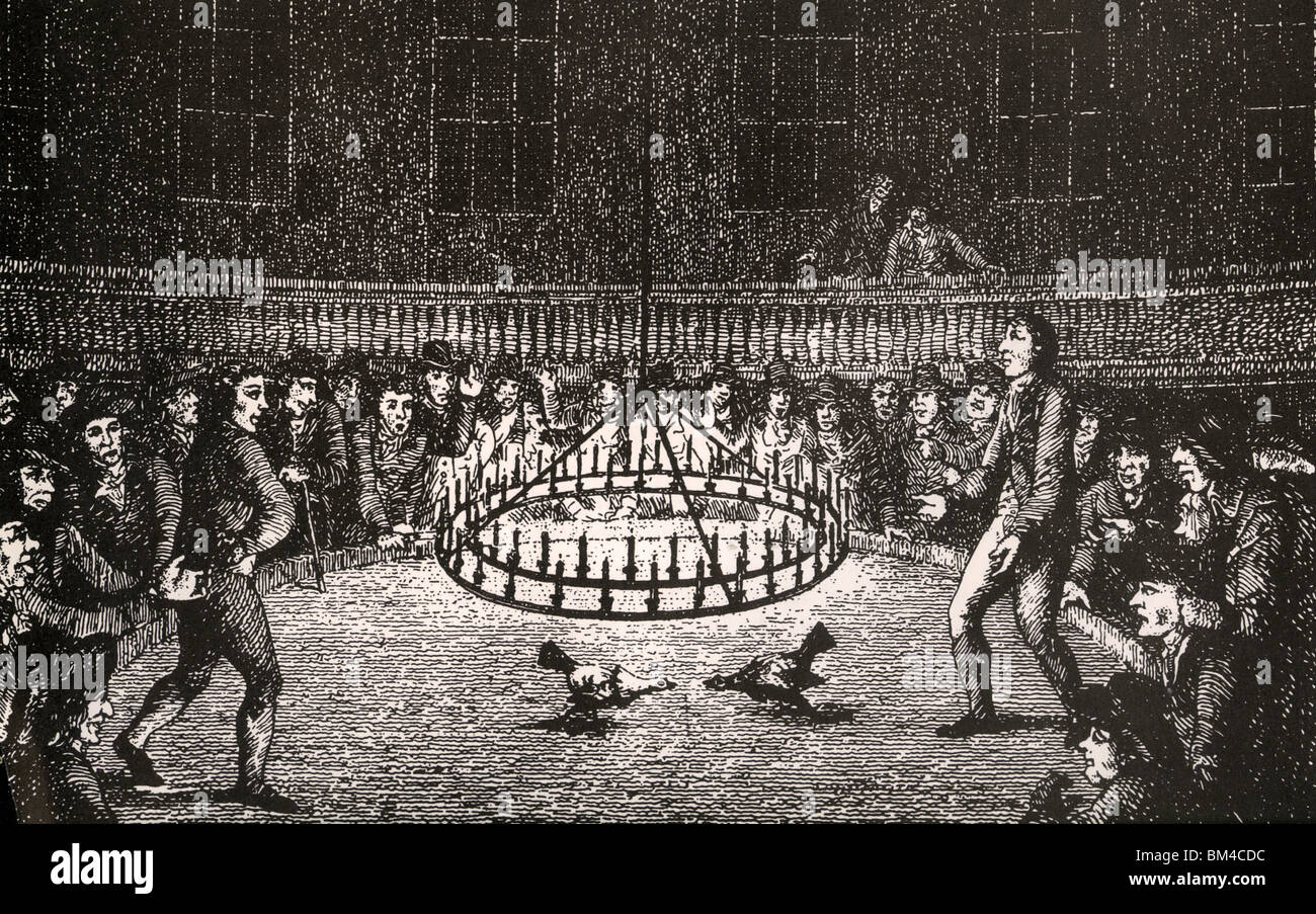 HAHNENKAMPF bei Nacht in London des 18. Jahrhunderts Stockfoto