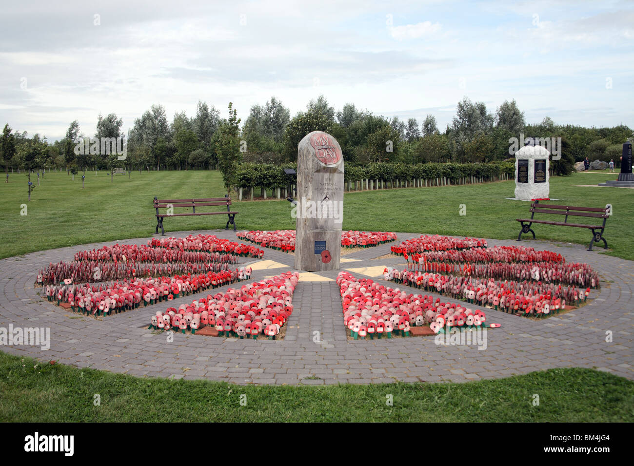 Kreis von Mohn im Arboretum Stockfoto