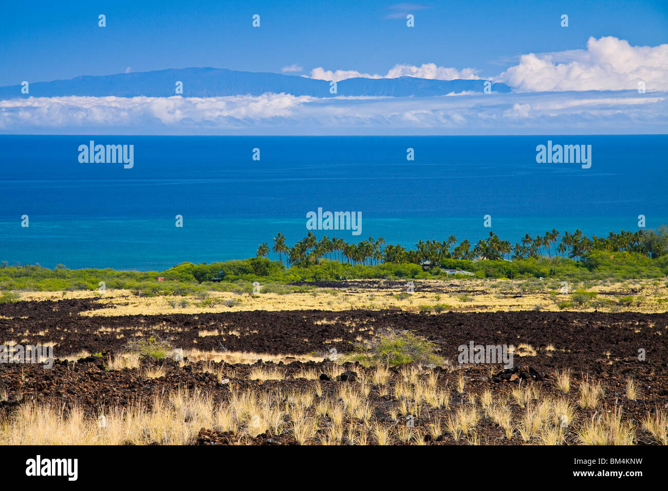 Lavafeld in der Nähe von Kiholo Bay, Kohala Coast, Big Island, Hawaii, USA Stockfoto