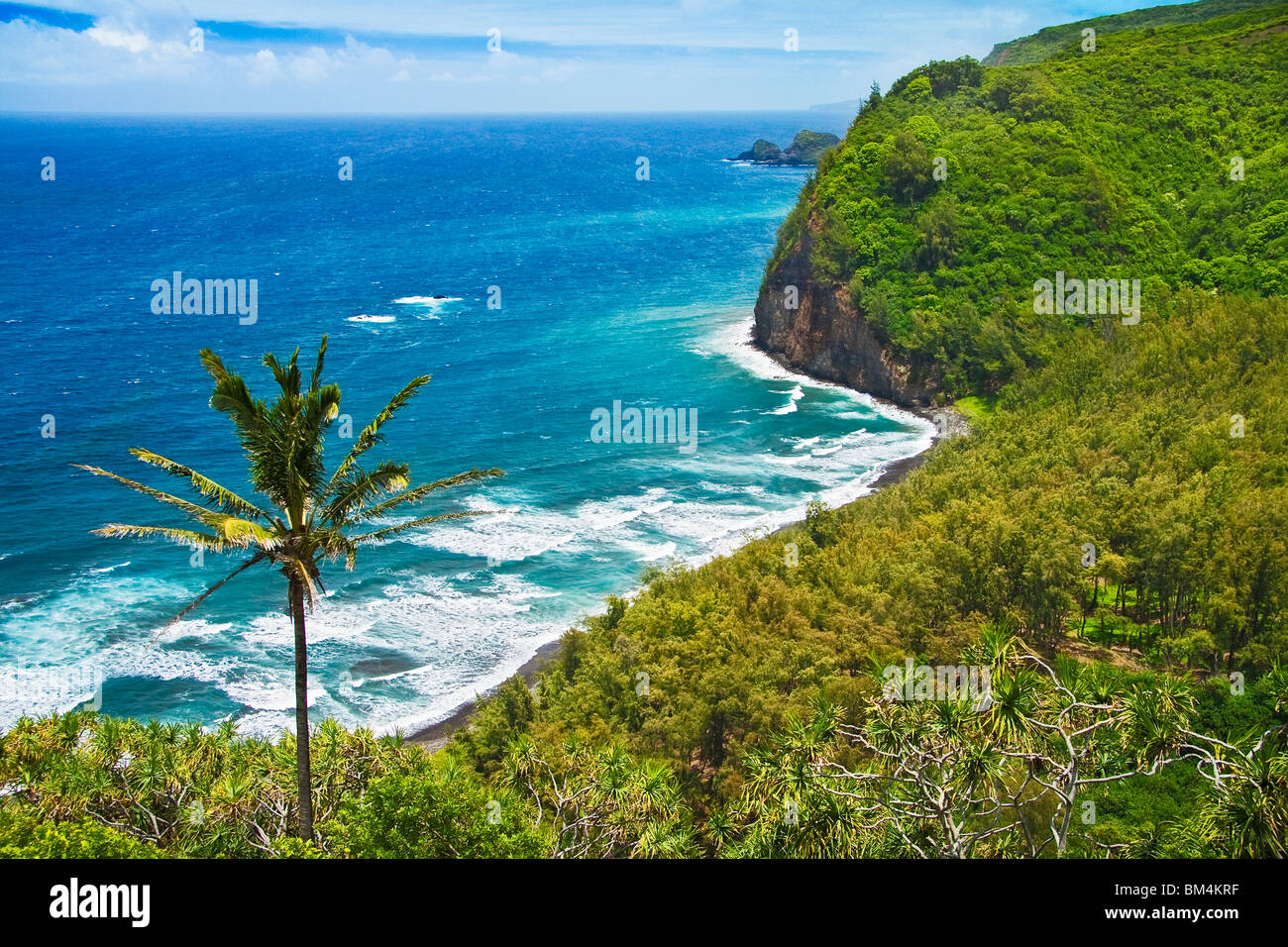 Blick auf Pololu Strand, Kohala Coast, Big Island, Hawaii, Vereinigte Staaten Stockfoto