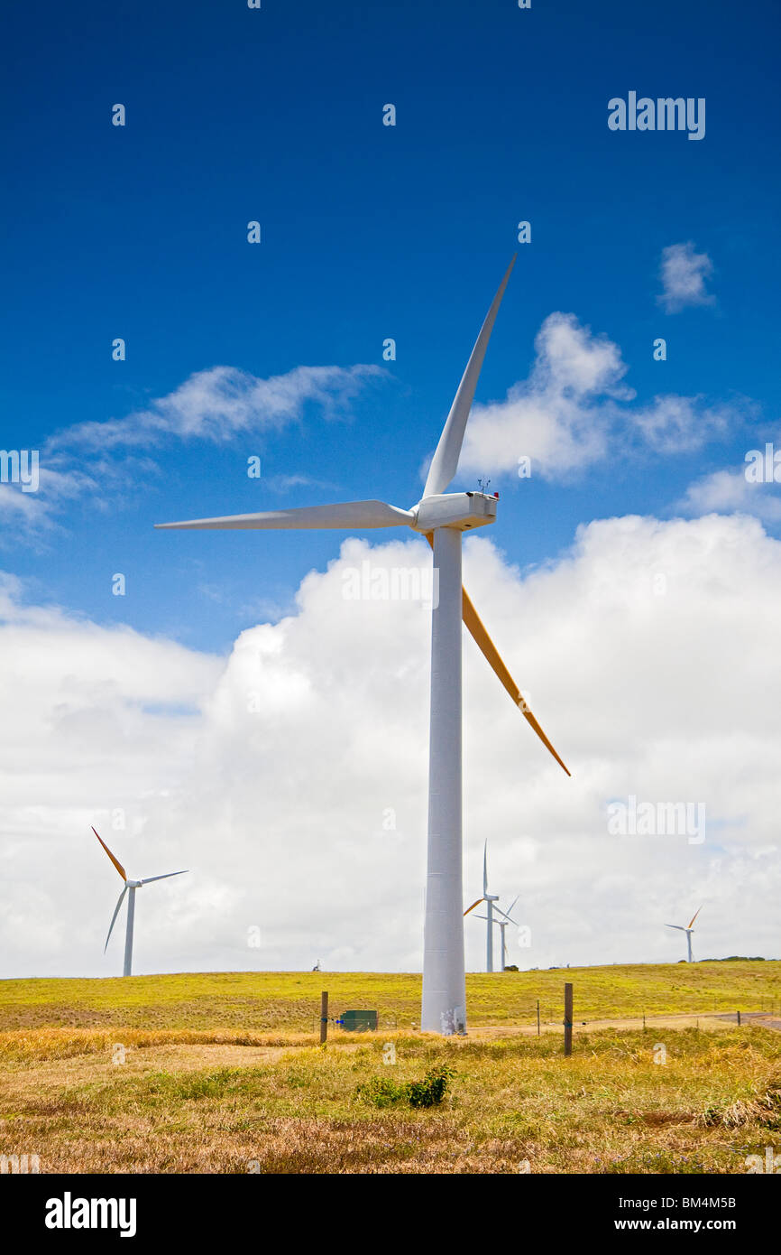 Windpark am Uplolu Point, Kohala, Big Island, Hawaii, USA Stockfoto