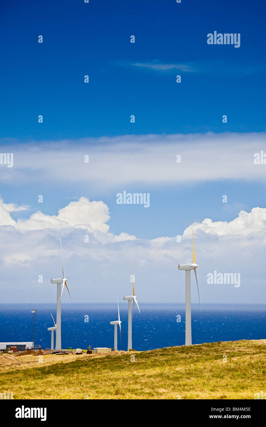 Windpark am Uplolu Point, Kohala, Big Island, Hawaii, USA Stockfoto