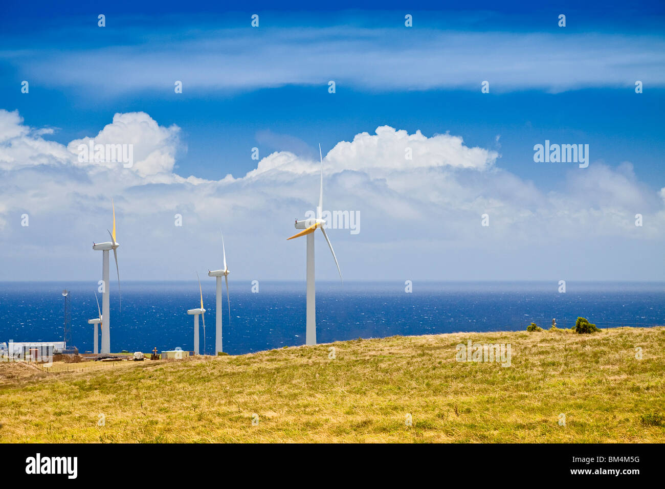 Windpark am Uplolu Point, Kohala, Big Island, Hawaii, USA Stockfoto