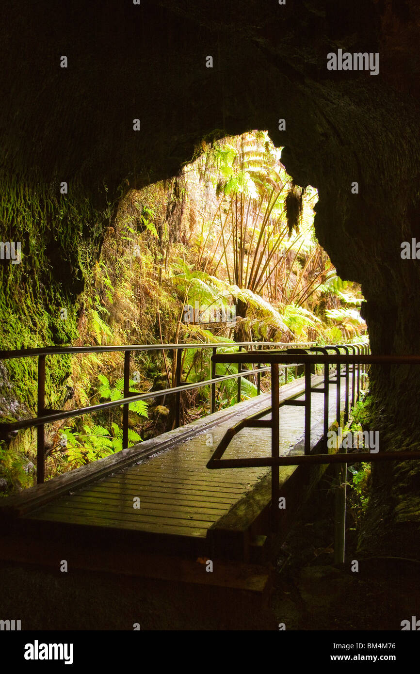 Eingang des Thurston Lava Tube, Volcanoes National Park, Kilauea, Big Island, Hawaii, USA Stockfoto