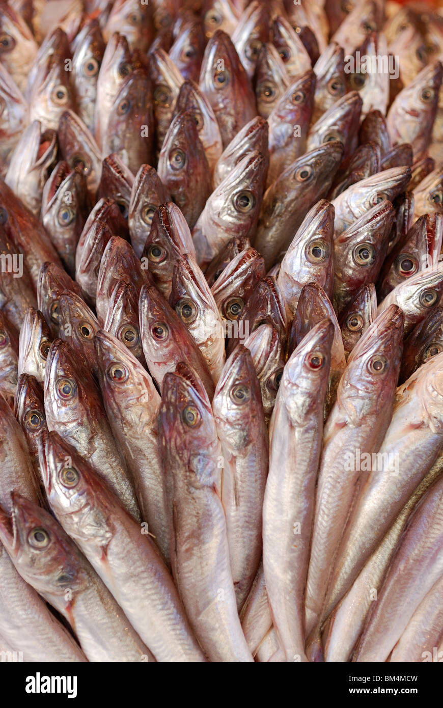 Syrakus / Siracusa. Sizilien. Italien. Ortygia. Anzeige des Mittelmeers Fisch auf dem Markt. Stockfoto