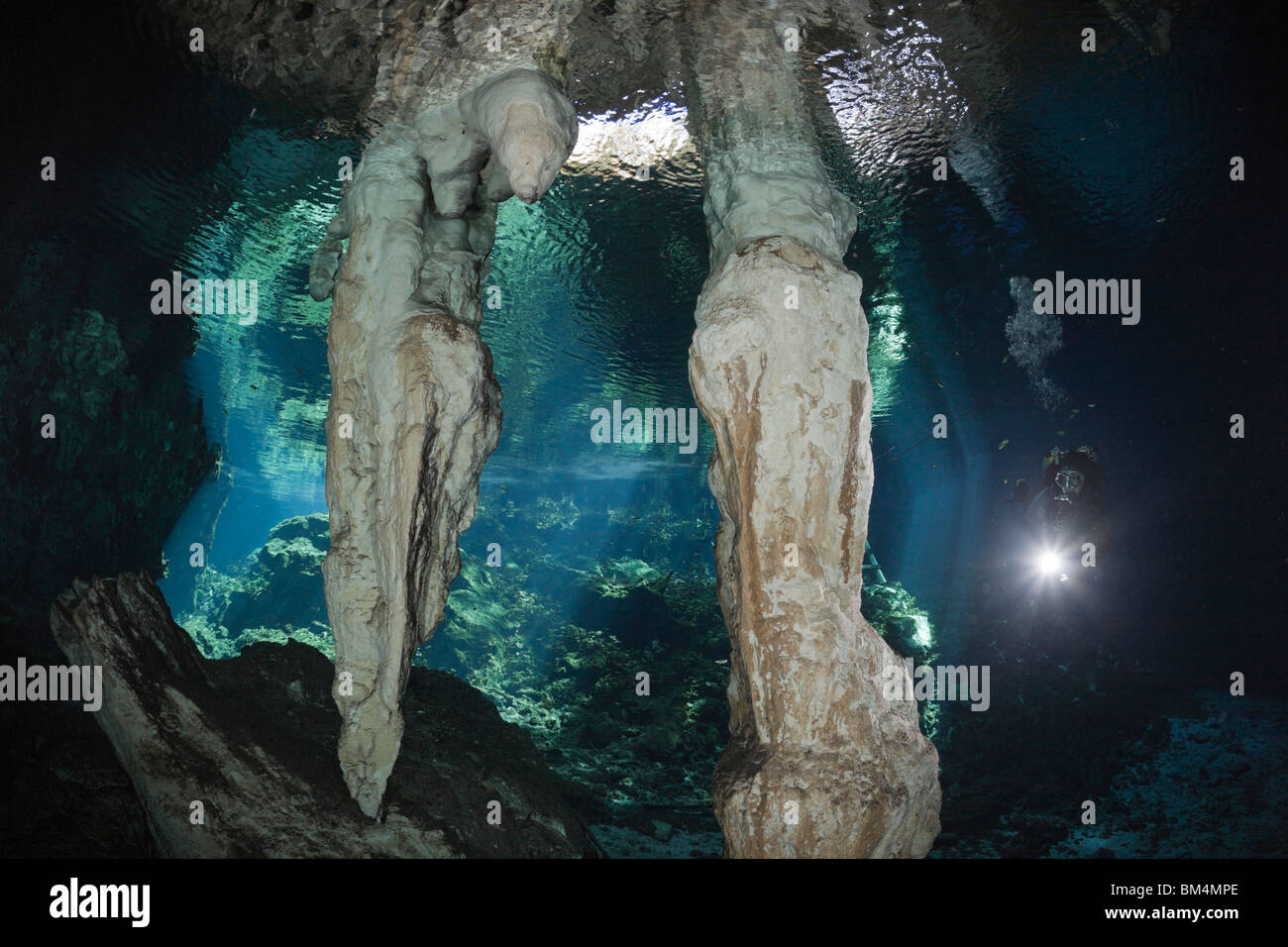 Taucher in Gran Cenote, Tulum, Halbinsel Yucatan, Mexiko Stockfoto