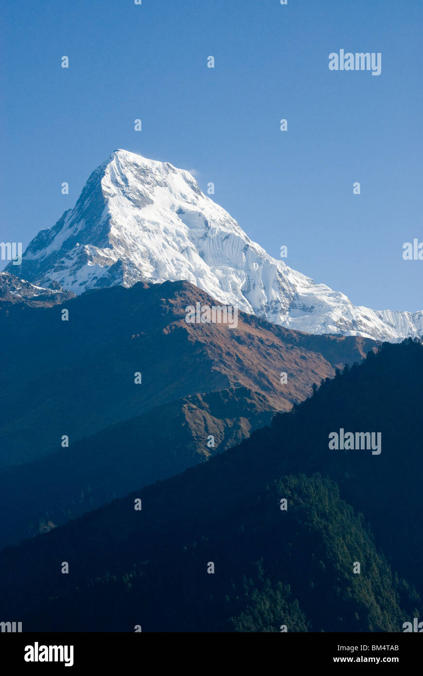 Nepal, Annapurna South, Ghorepane, Annapurna Circuit. Stockfoto