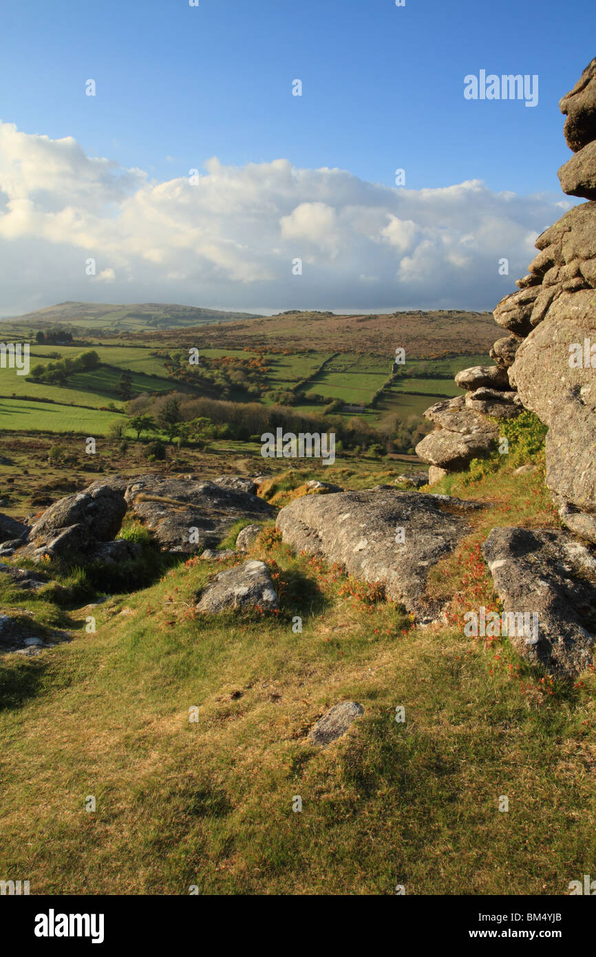 Blick vom Hound Tor in Richtung Hayne unten, Dartmoor, Devon, England, UK Stockfoto