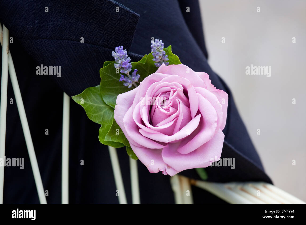 Schaltfläche "Rose" Loch Blume auf einem Bräutigam-Jacke Stockfoto