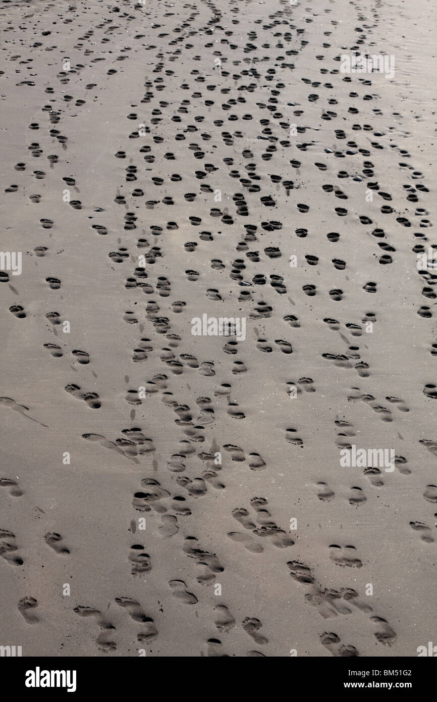 Fußspuren im sand Stockfoto