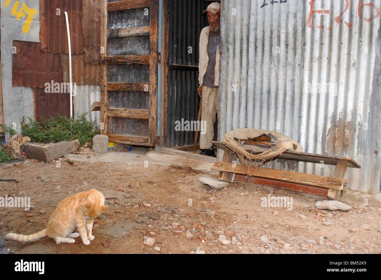 einäugigen Mann und seine Katze, vor seiner Hütte. Stockfoto