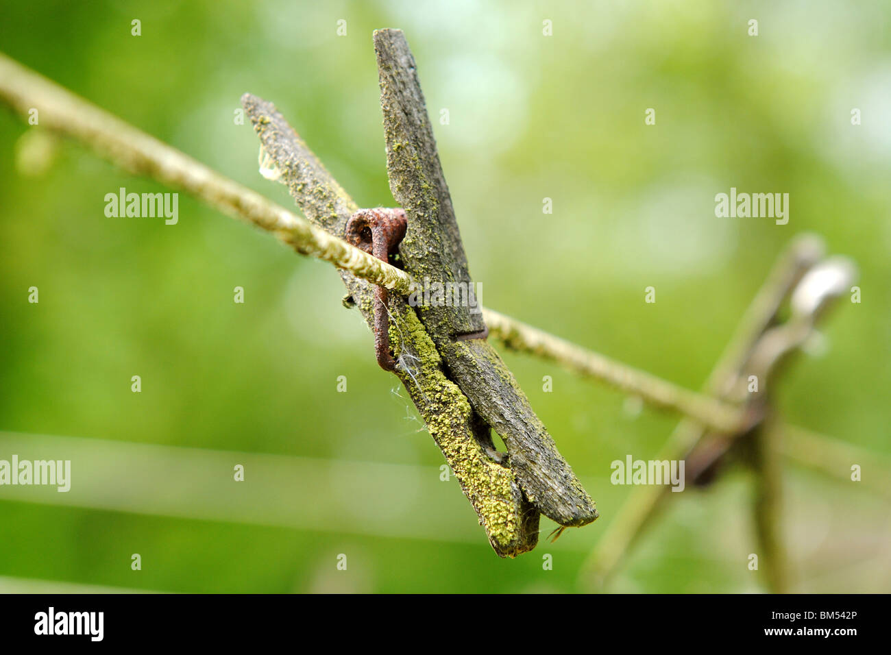 Clothespeg und den Test der Zeit (2/3) Stockfoto