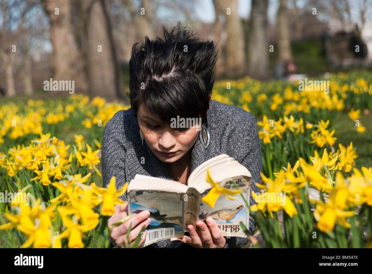 Junge Frau, die ein Buch unter den Narzissen in St James Park, London, England, UK Stockfoto