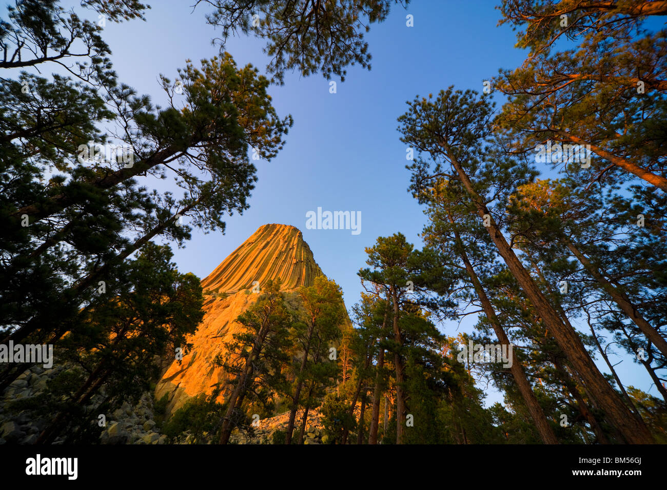 Teufel, Devil es Tower National Monument, Wyoming, USA bei Sonnenuntergang. Ein vulkanisches Gestein, das amerikanischen Indianer heilig ist. Stockfoto
