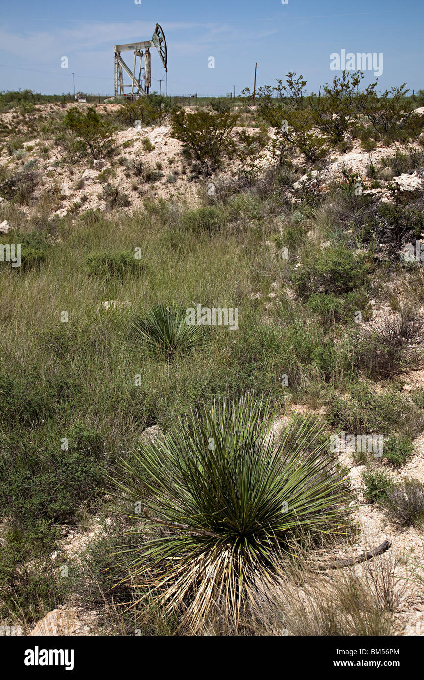 Rand des Odessa Meteorkrater mit Öl Nodder Texas USA Stockfoto