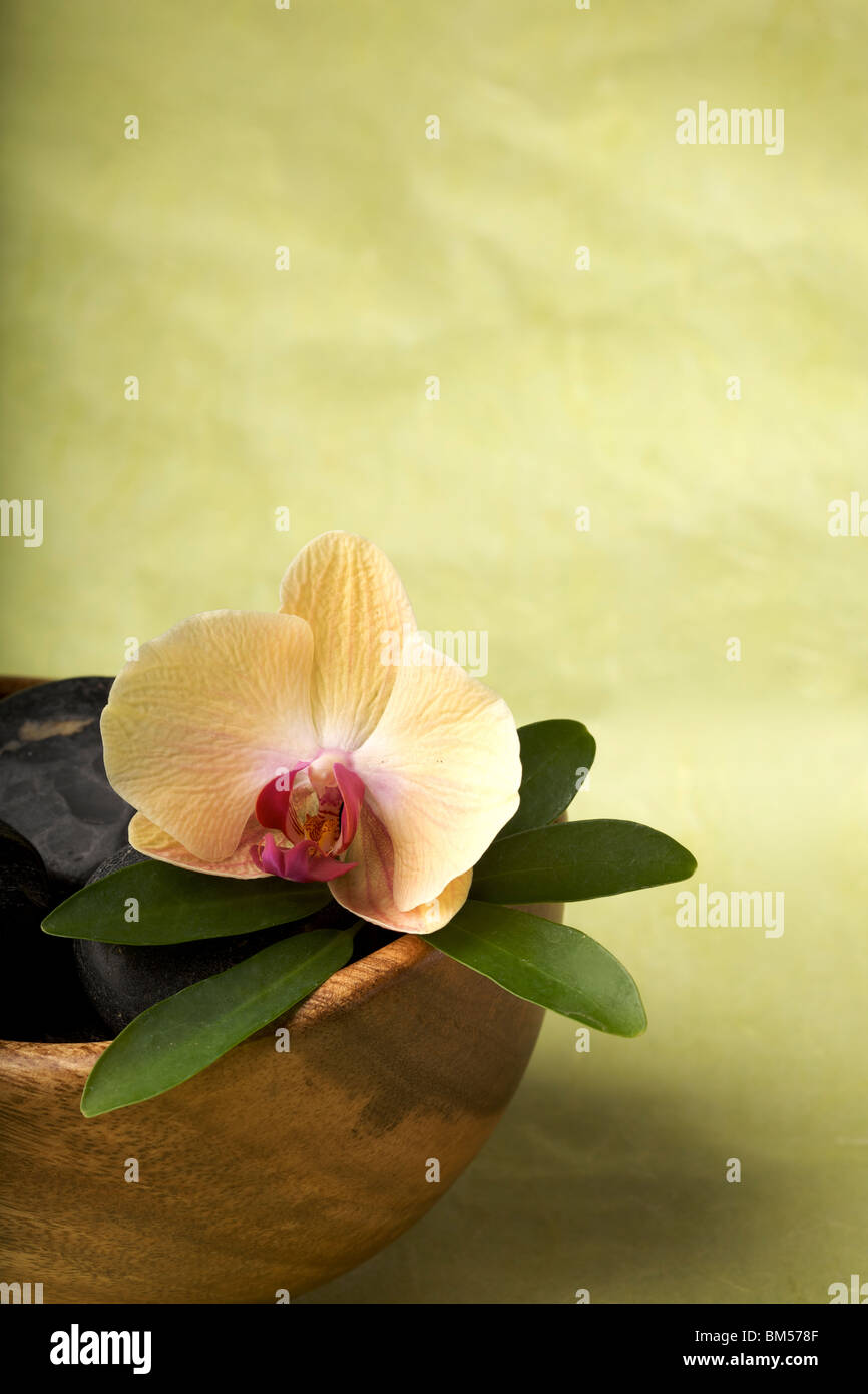 Zen-artige Szene mit Blume, Textfreiraum Stockfoto