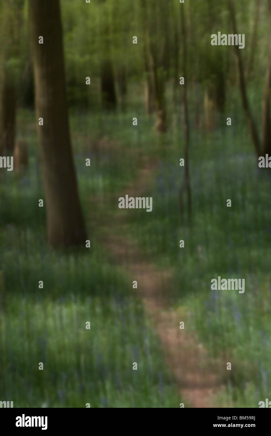 Impressionistischen Stil Blick auf einen Waldweg. Porträtaufnahme von einem englischen Landschaftsgarten Stockfoto