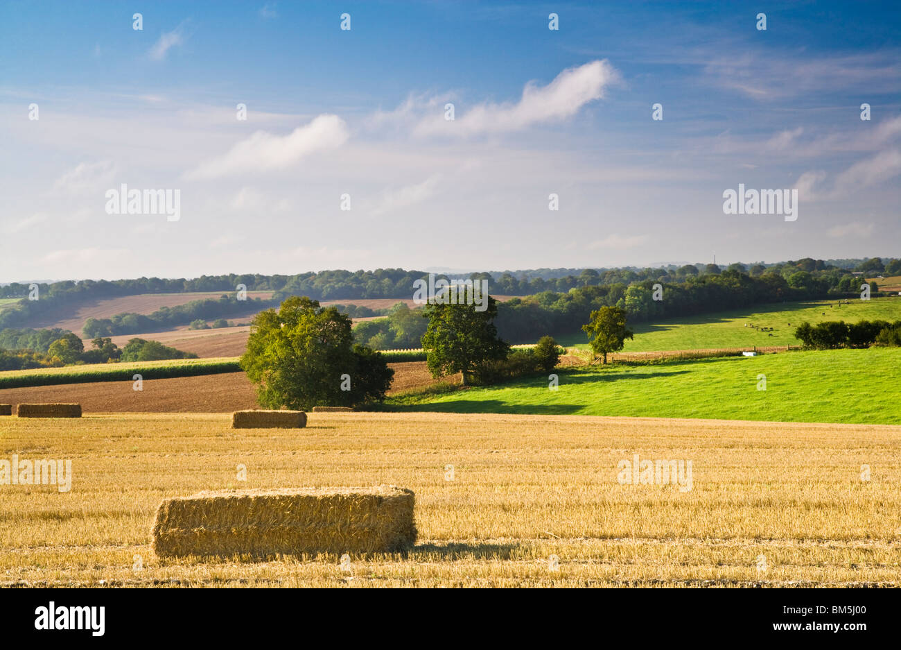 Blick über die Felder von Heuballen auf den Marlborough Downs in der Nähe von Ogbourne St George Stockfoto