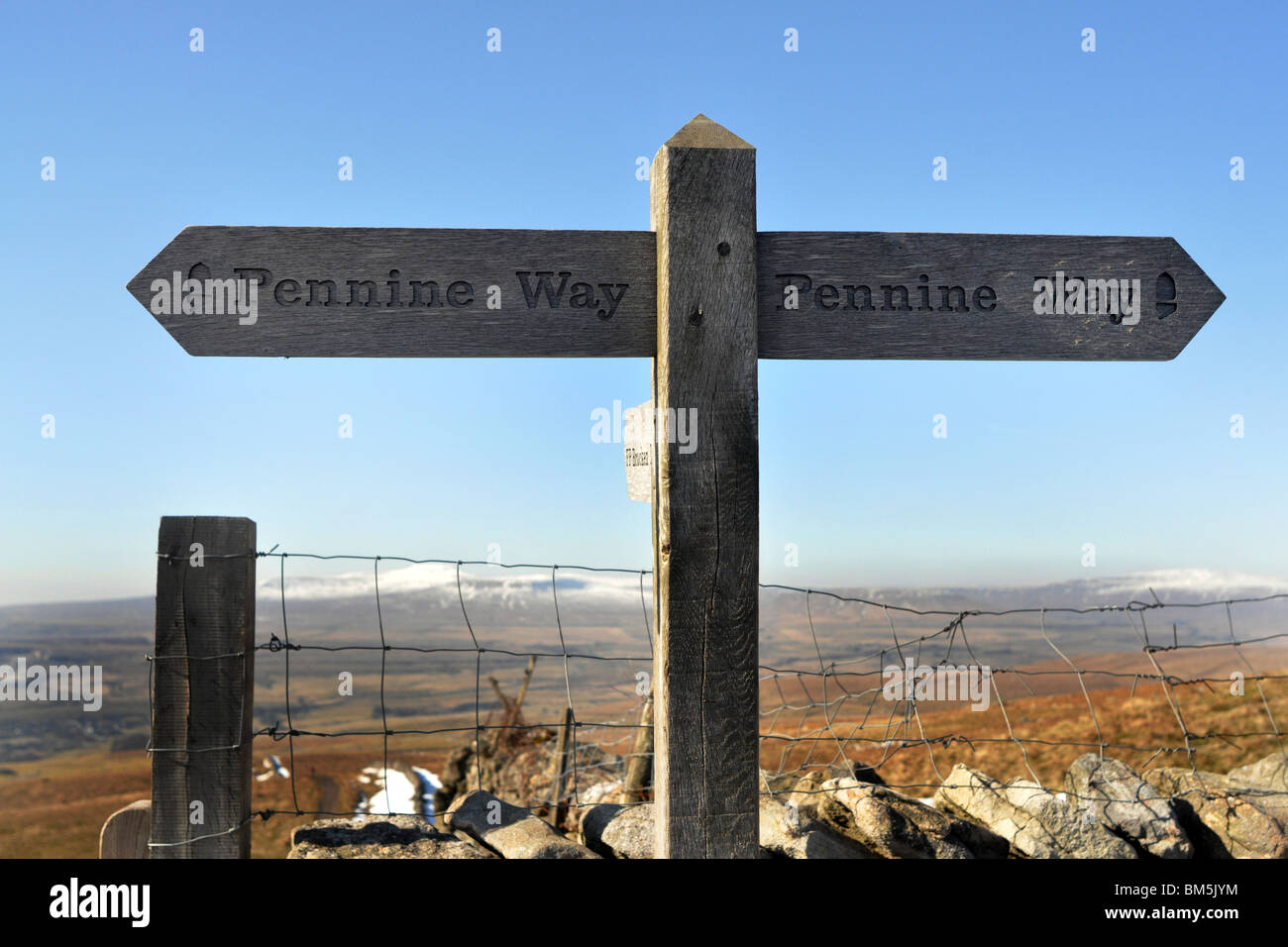 Wandern in den Yorkshire Dales, Pen-y-Gent, drei Zinnen Pennine Way Stockfoto