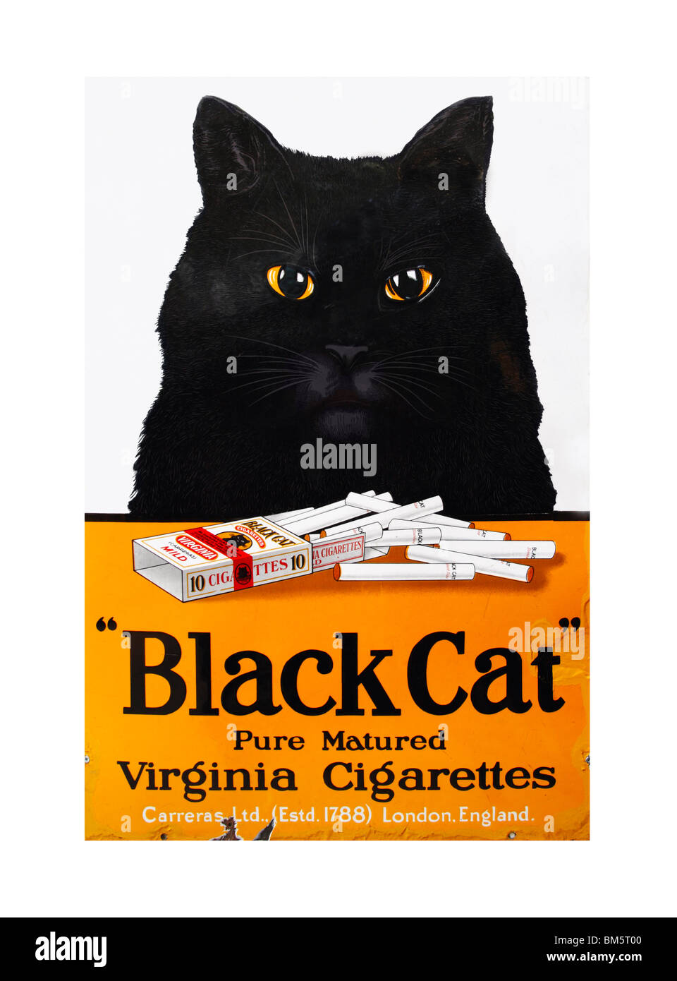 Black Cats Zigaretten Plakat Stockfoto