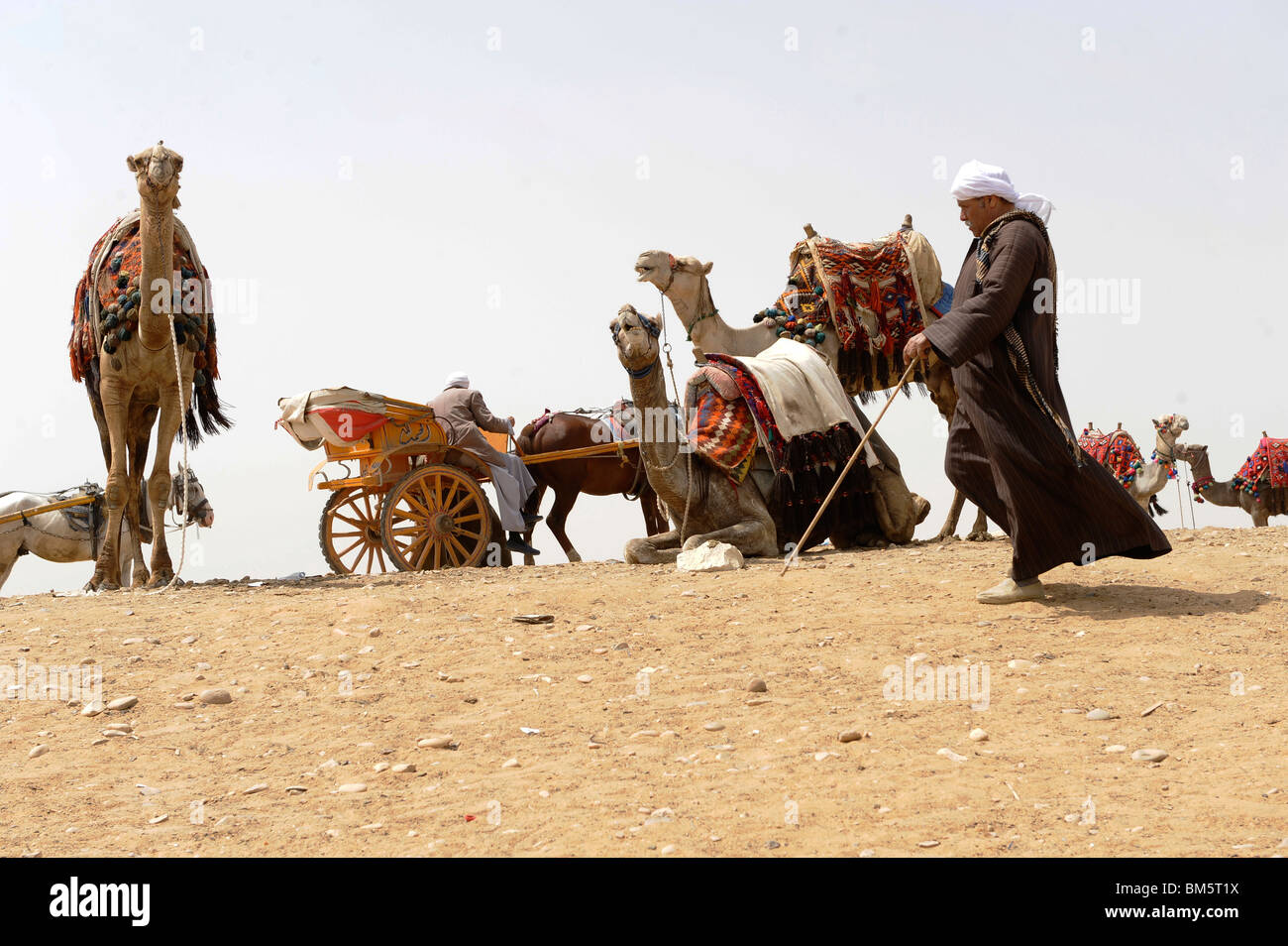 Kamel Händler mit ihren Kamelen, Pyramiden von Giza, Gizeh Nekropole am Rande, was jetzt ist El Giza, Cairo, Ägypten Stockfoto