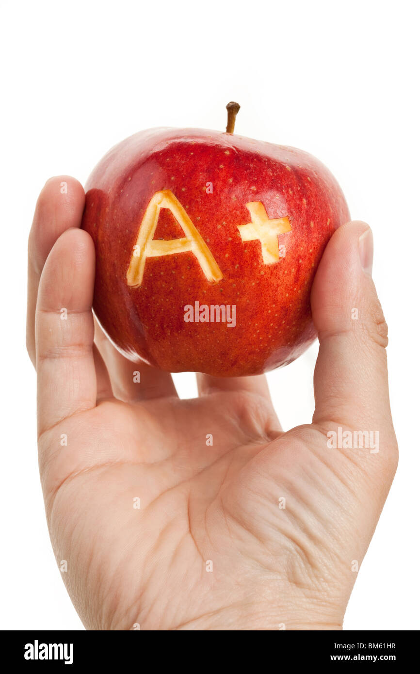 Roter Apfel und ein Pluszeichen, das Konzept des Lernens Stockfoto