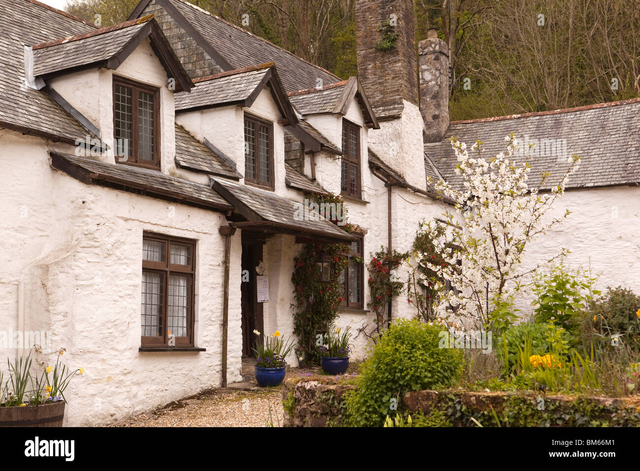 Großbritannien, England, Devon, Ilfracombe, Chambercombe Manor, 11. Jahrhundert historisches Haus Stockfoto