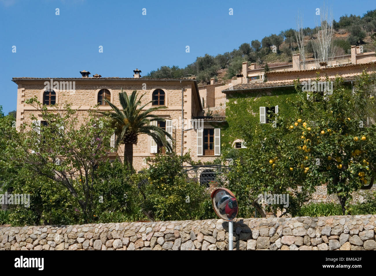 Beeindruckend große Häuser in Deià (Mallorca - Spanien) mit Zitronenbäumen Früchte trägt. Maisons Stadtanpassungen À Deia Avec Citronniers. Stockfoto