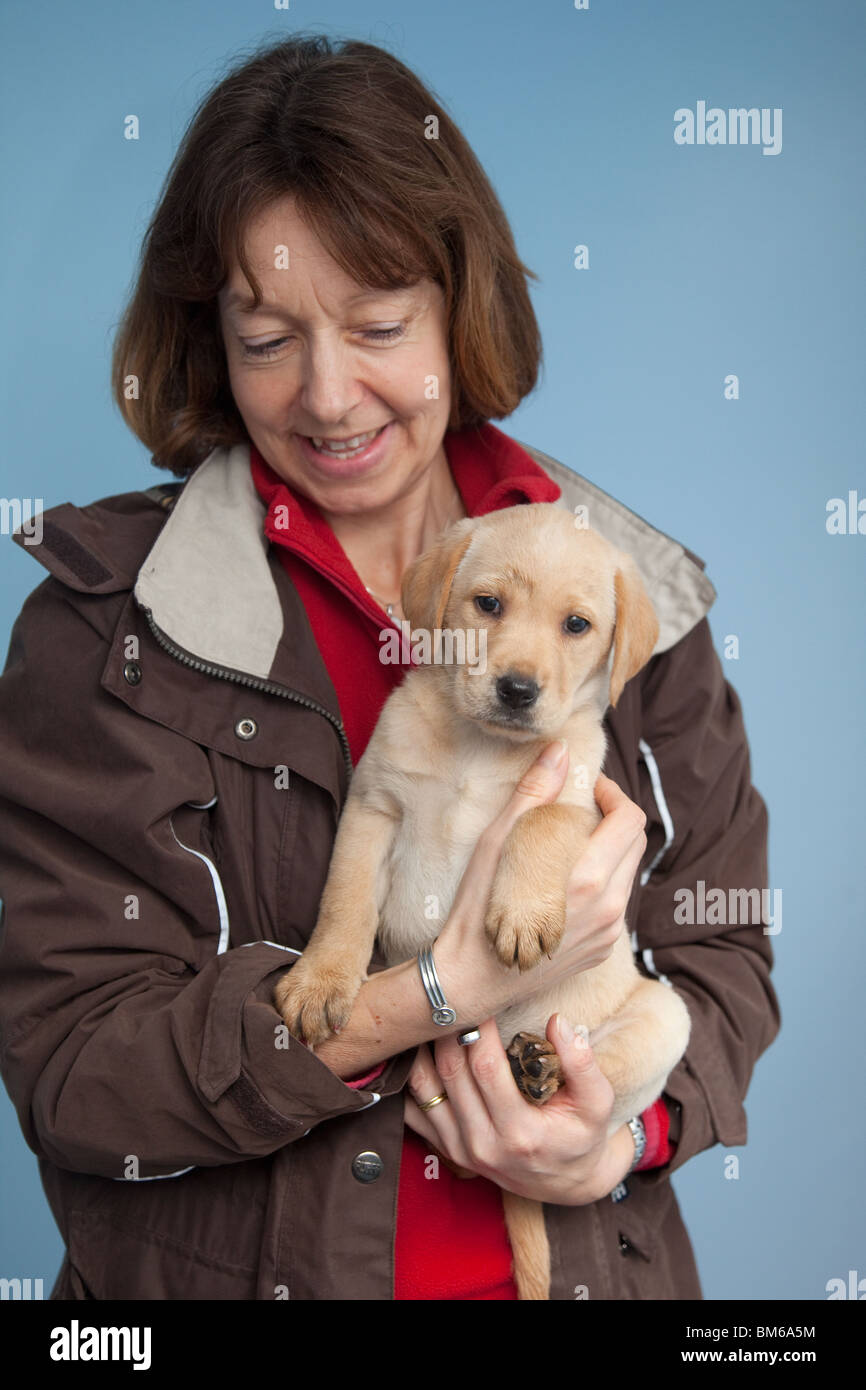 Gelber Labrador-Welpe mit dem neuen Eigentümer Stockfoto