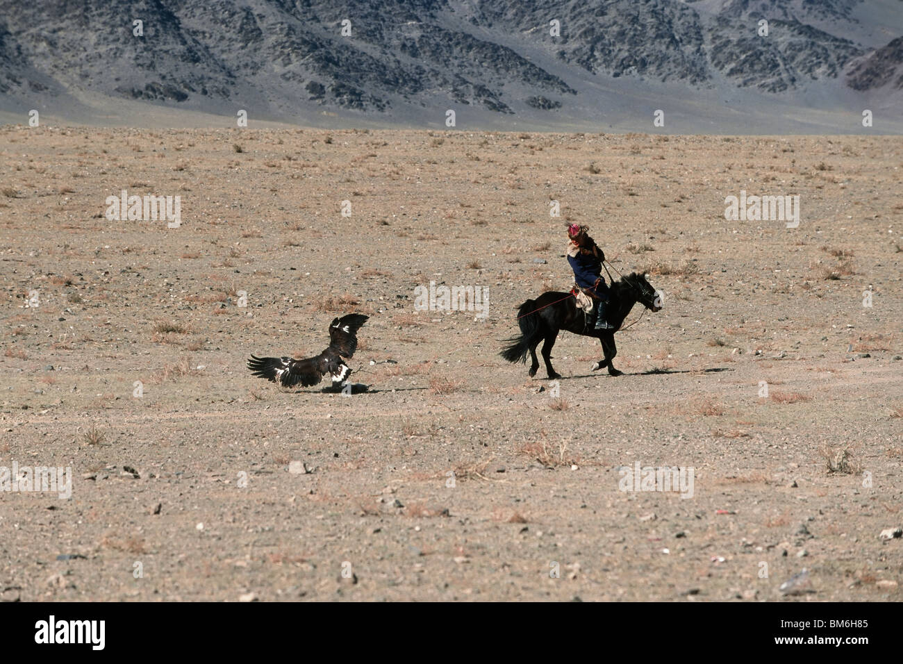 Golden Eagle Festival, Bayan Ölgii, Altai-Gebirge, Mongolei Stockfoto