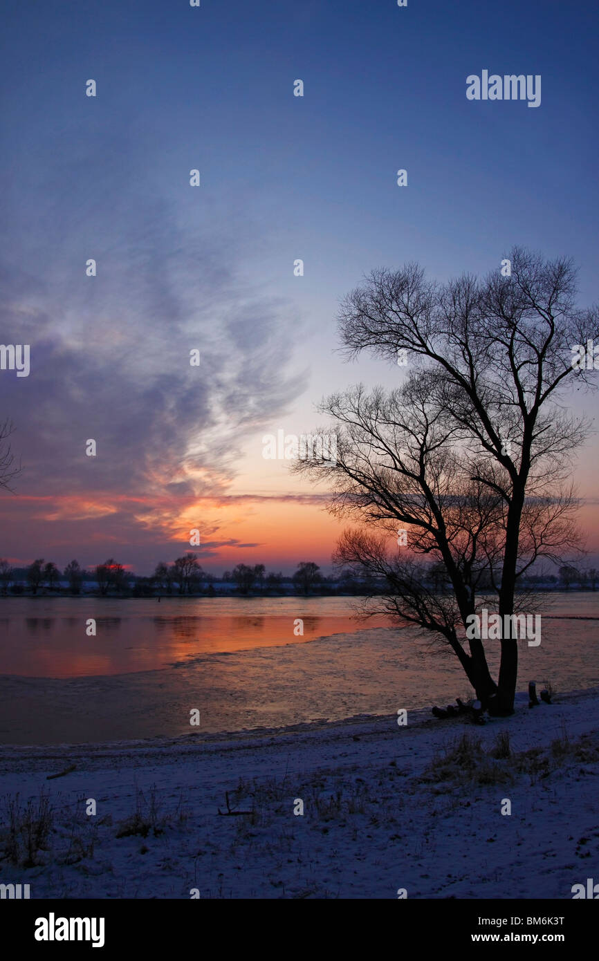 Winter Landschaft Fluss Donau Erinnerungsbild an der Donau Stockfoto