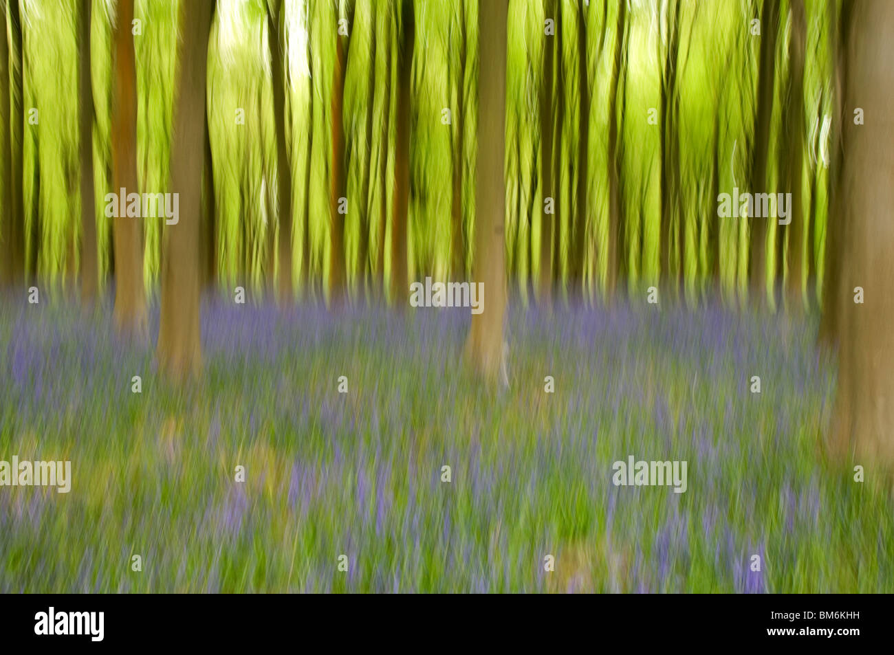 Impressionistische Wirkung Bluebells bei West Woods Marlborough Wiltshire England Großbritannien Stockfoto