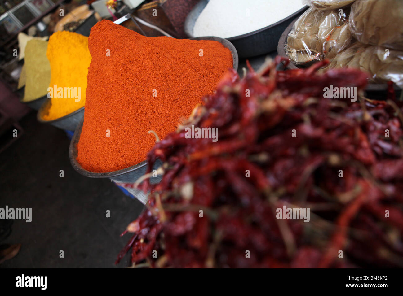 Chili und Gewürzen auf dem Display an der Sardar-Markt in Jodhpur, Rajasthan, Indien. Stockfoto