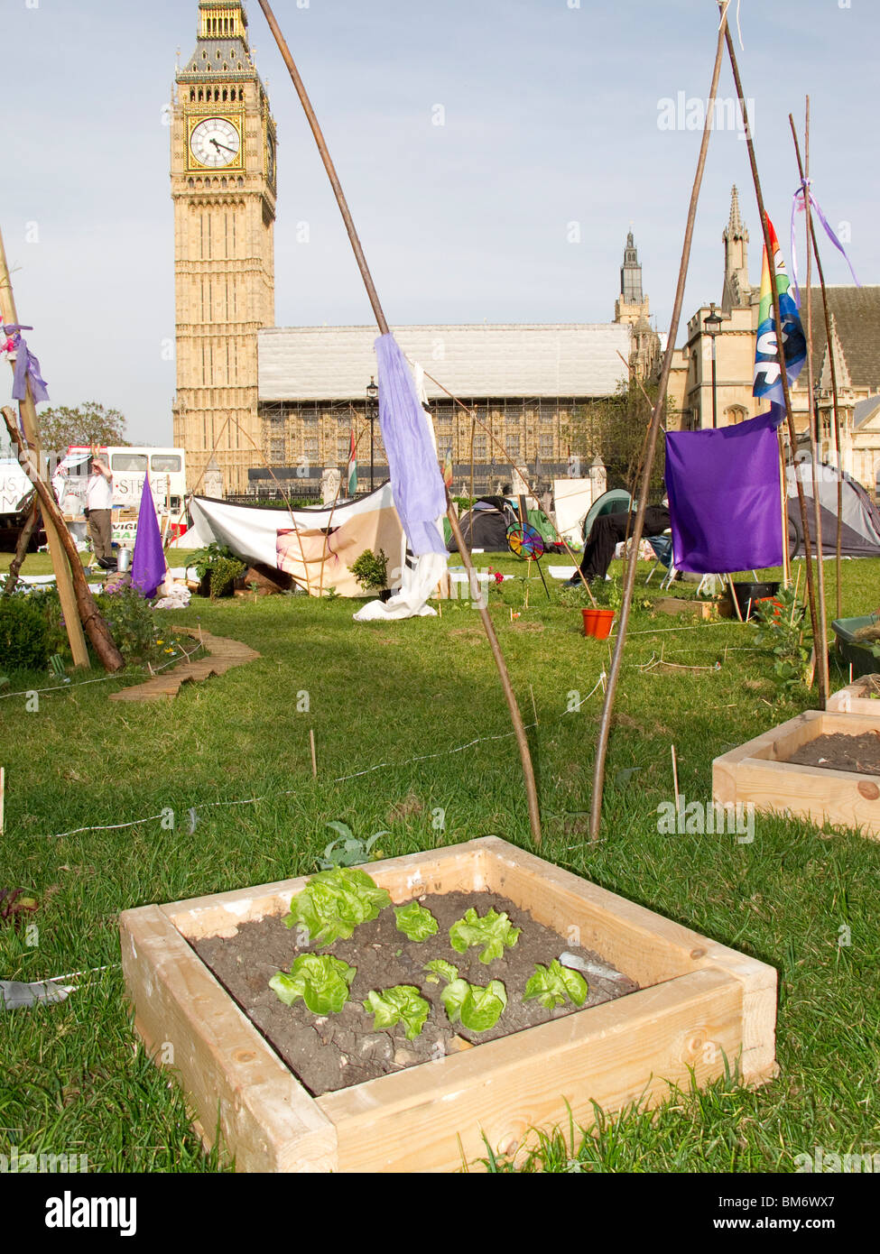 Friedenscamp Einrichten von verschiedenen Aktivisten-Gruppen im Parlament Square in London Mai 2010 - Garten Salat Stockfoto