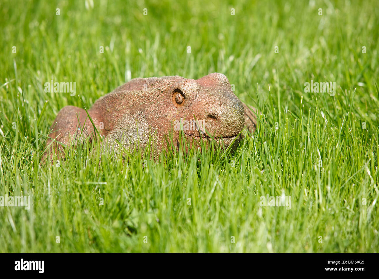 Garten Frosch Statue in der Wiese Stockfoto