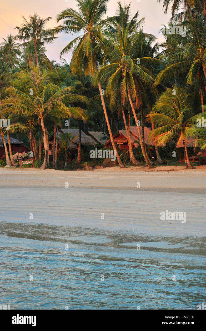 Ko Mak Coconut Beach Stockfoto