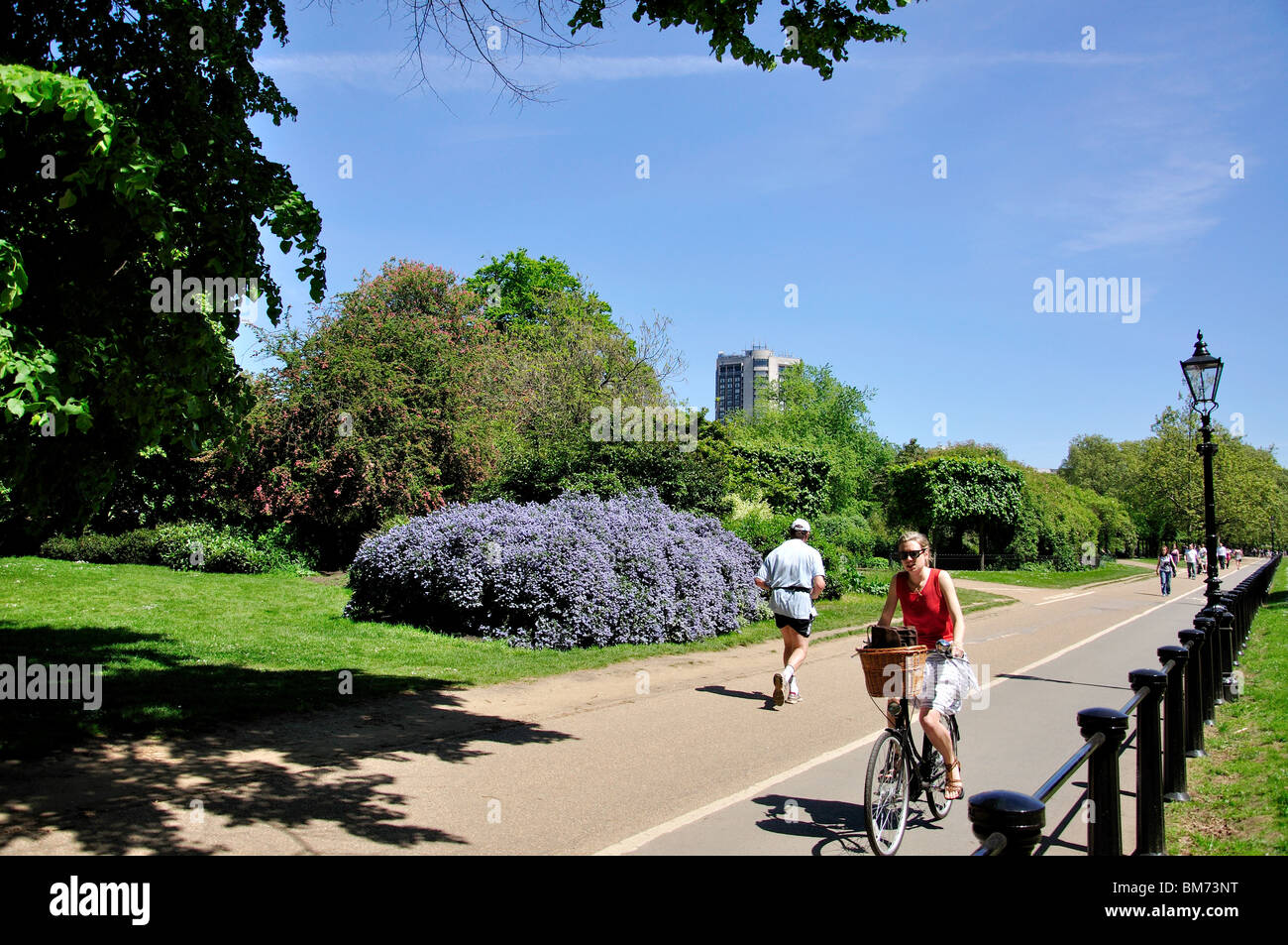 Radweg und gehen weg, Hyde Park, City of Westminster, London, England, Vereinigtes Königreich Stockfoto